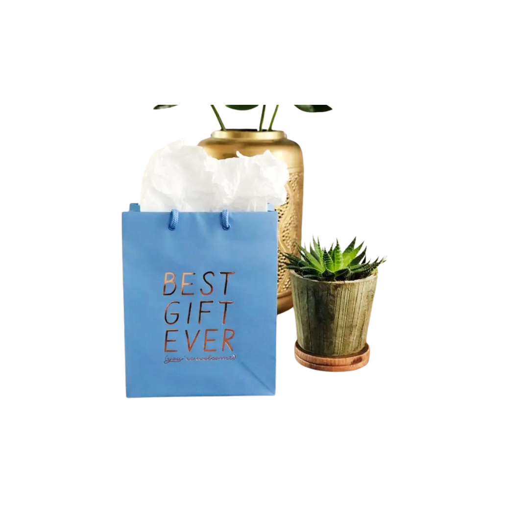 Metallic Foil-Stamped Best Gift Ever Large Gift Bag