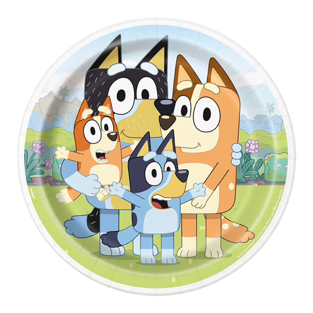 Bluey Party