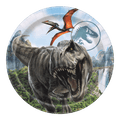 Multicolor dinosaur plate with T rex and pterodactyl Jurassic World birthday theme from Parte Haus party supply store in Bethesda MD