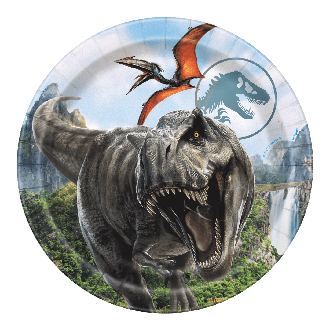 Multicolor dinosaur plate with T rex and pterodactyl Jurassic World birthday theme from Parte Haus party supply store in Bethesda MD