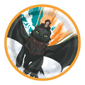 Black and orange How to Train Your Dragon paper plate with boy riding dragon birthday theme from Parte Haus party supply store in Bethesda Maryland