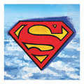 Red yellow superhero logo napkin with sky background superhero birthday theme from Parte Haus party supply store in Bethesda MD.