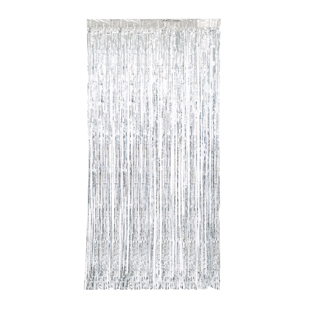 Silver fringe curtain shimmering backdrop for birthday from Parte Haus party supply store in Bethesda MD