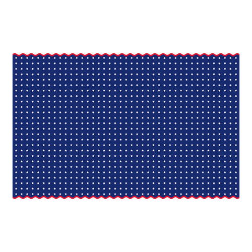 Blue star plastic table cover with white stars and red trim patriotic theme from Parte Haus party supply store in Bethesda MD