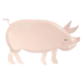 Pink Pig Shaped Large Dinner Plates