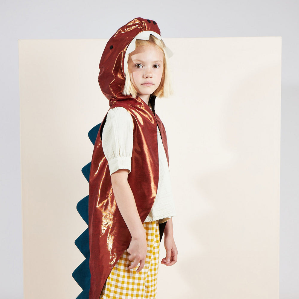 Red dinosaur costume cape with hood for kids birthday from Parte Haus party supply store in Bethesda Maryland