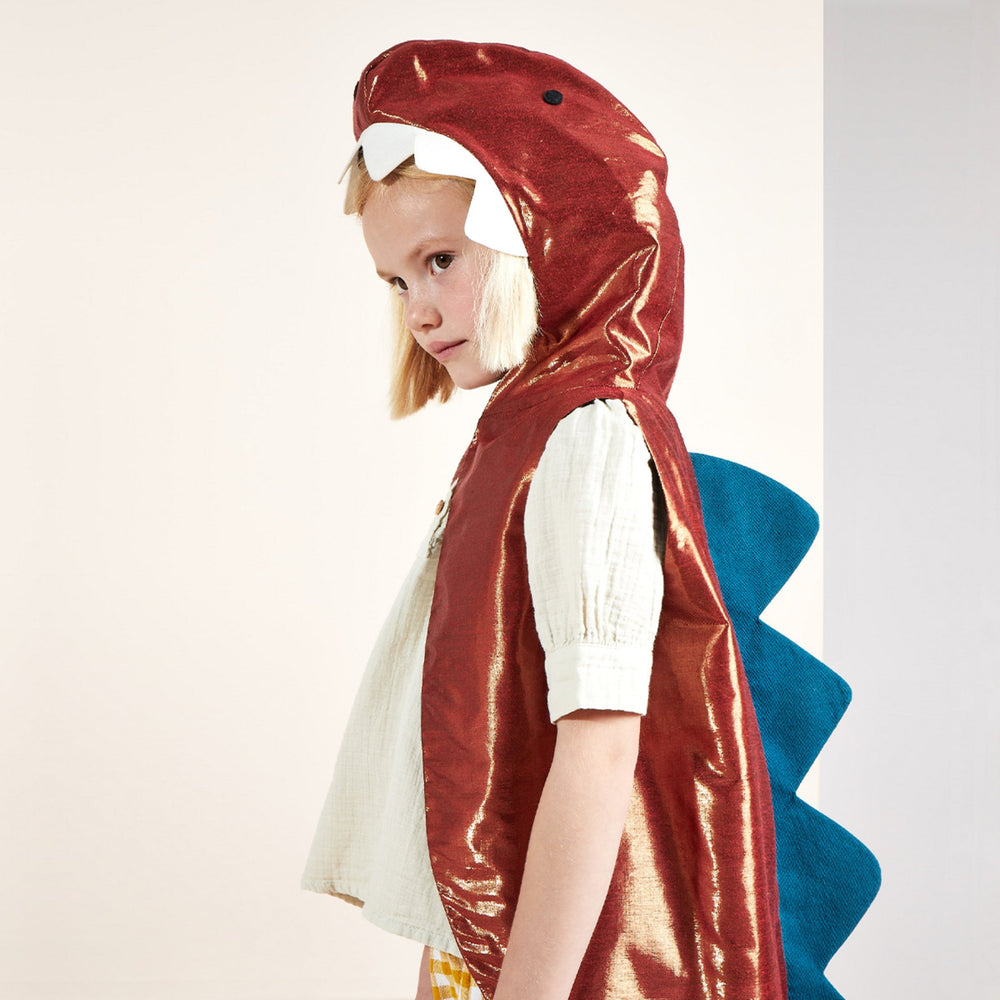 Red and blue dinosaur costume cape with hood for kids birthday party from Parte Haus party supply store in Bethesda Maryland