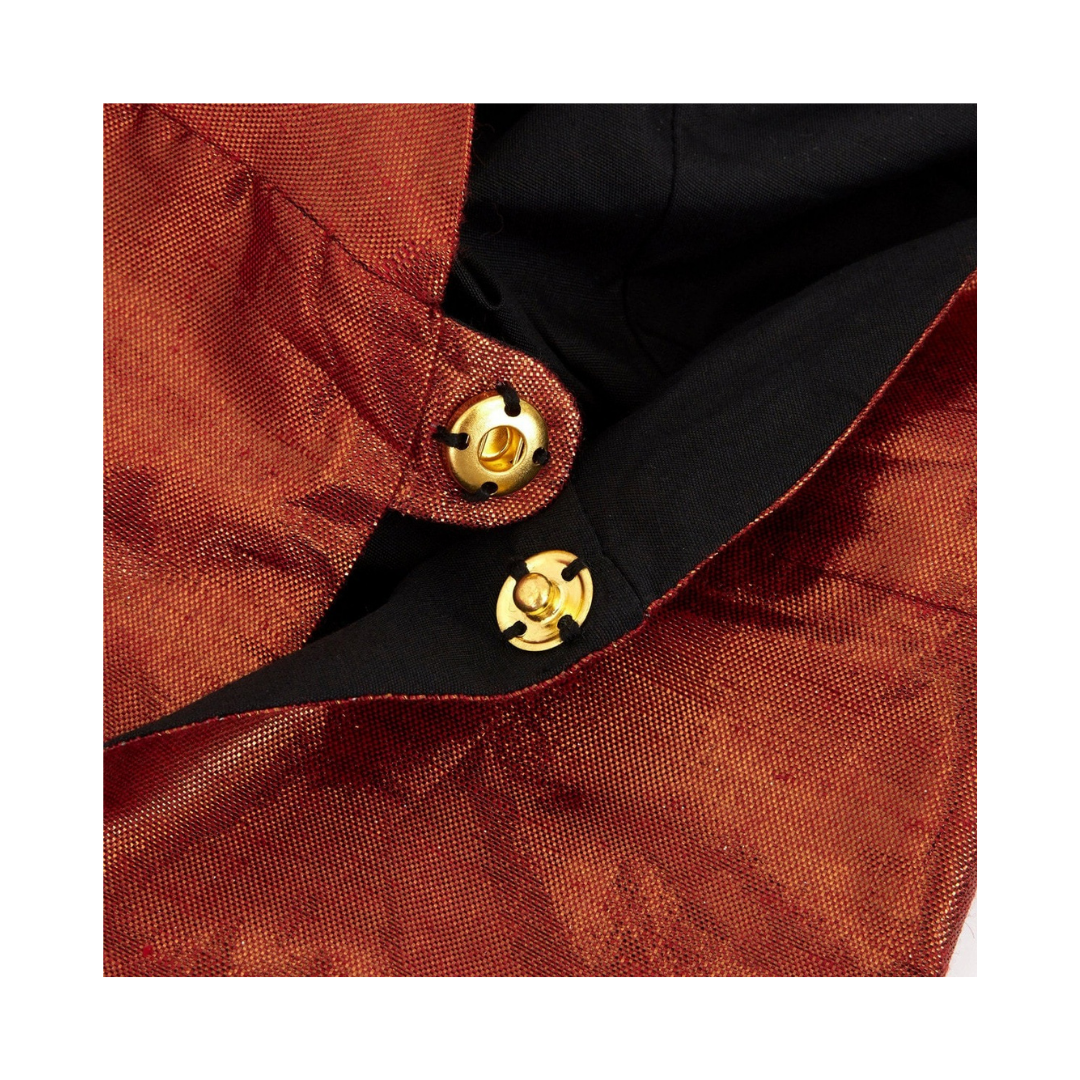 Orange and Black Dinosaur Costume