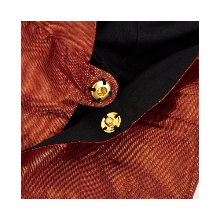 Orange and Black Dinosaur Costume