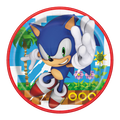Blue Sonic the Hedgehog paper plate with jumping character and game scene kids birthday from Parte Haus party supply store in Bethesda, Maryland
