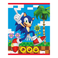 Blue Sonic character plastic loot bag with video game background for birthday from Parte Haus party supply store in Bethesda MD