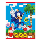 Blue Sonic character plastic loot bag with video game background for birthday from Parte Haus party supply store in Bethesda MD
