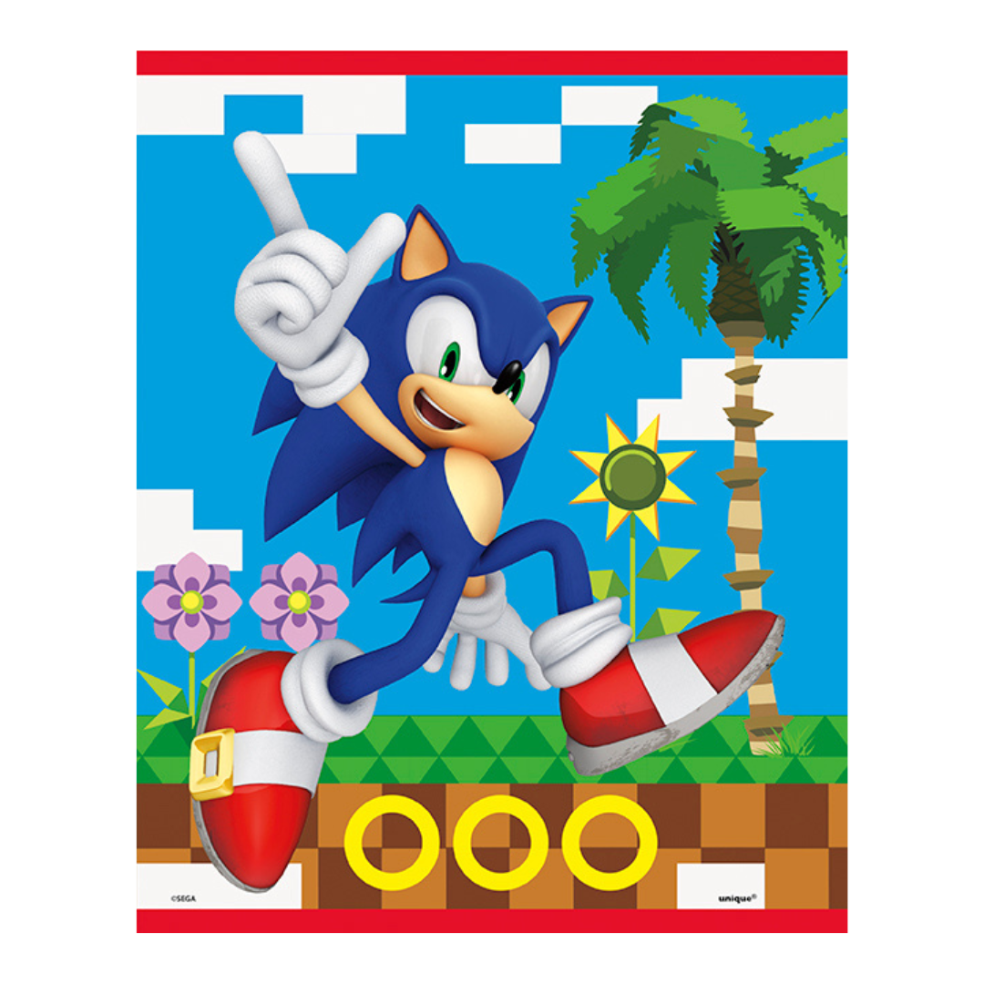 Blue Sonic character plastic loot bag with video game background for birthday from Parte Haus party supply store in Bethesda MD