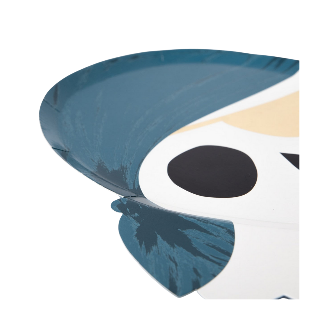 Pirate Dinner Plates