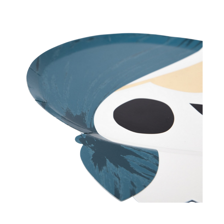 Pirate Dinner Plates