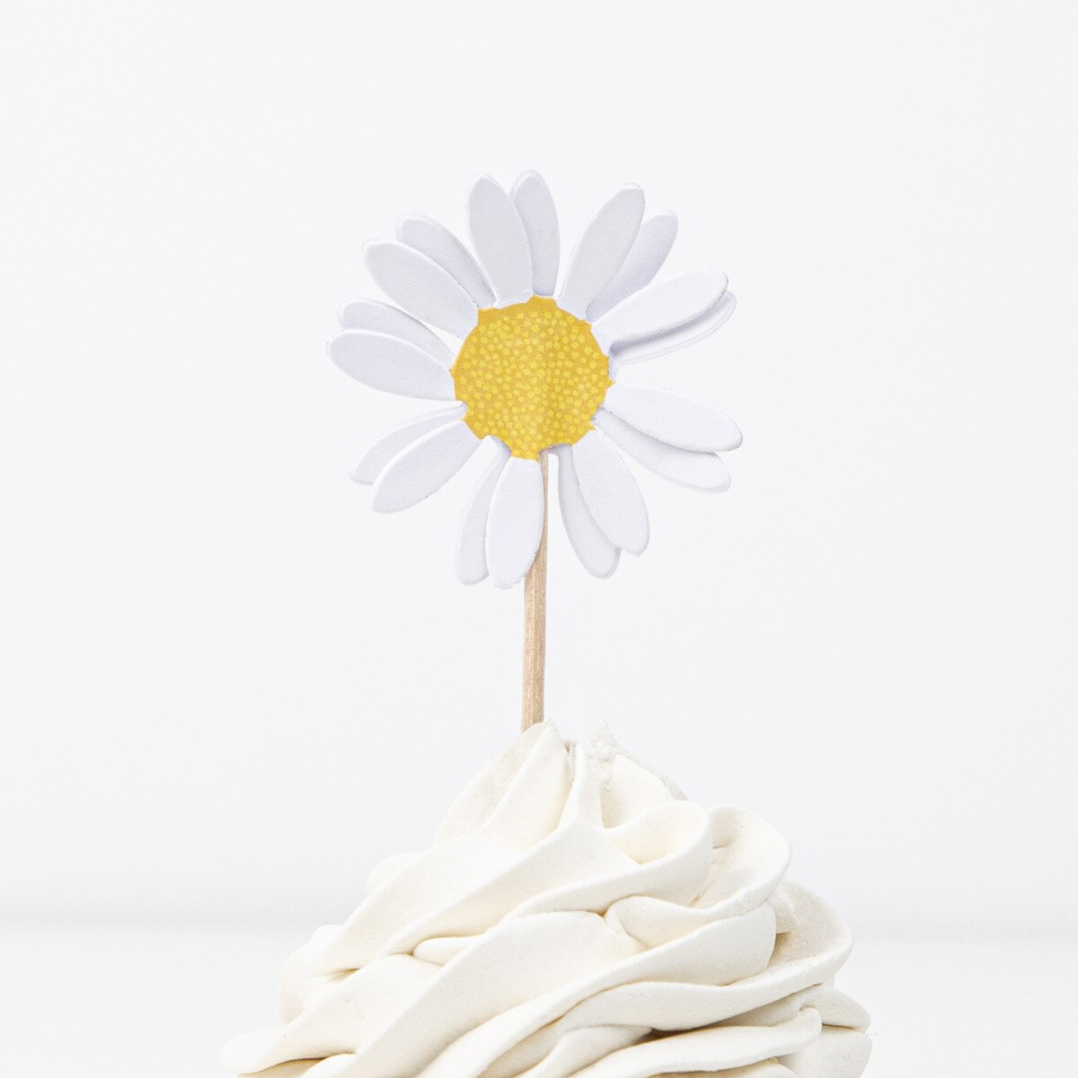 Assorted Flower Garden Cupcake Kit