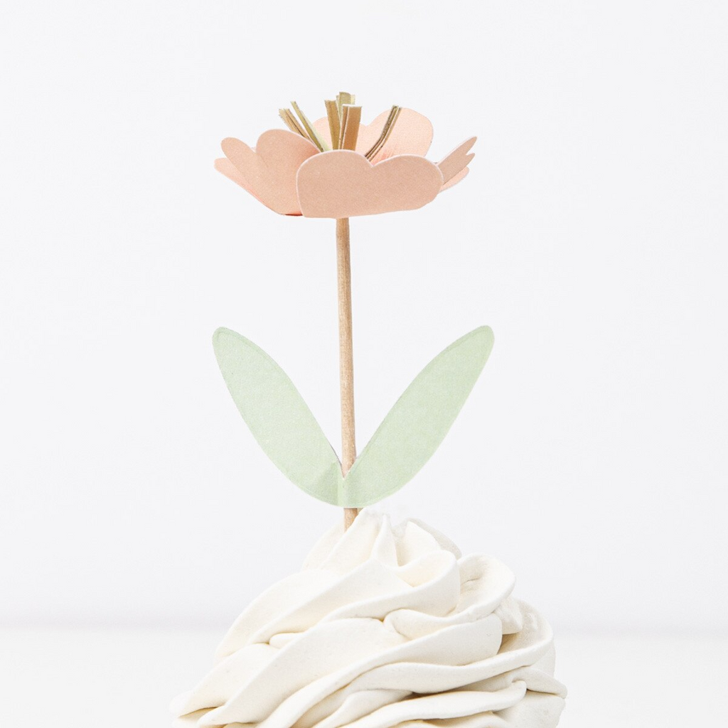 Assorted Flower Garden Cupcake Kit