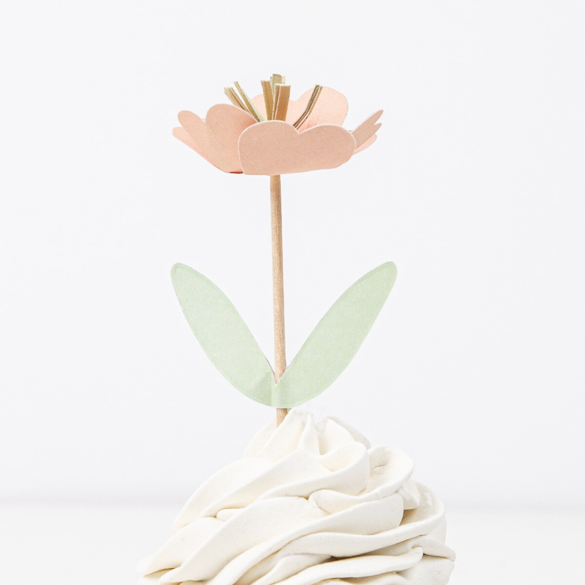 Assorted Flower Garden Cupcake Kit