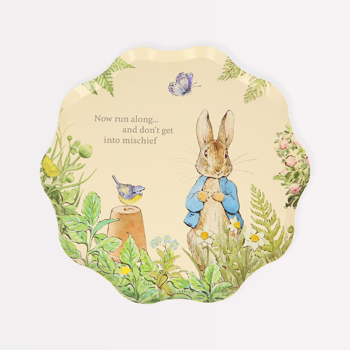 Peter Rabbit™ In The Garden Plates - 2 Sizes
