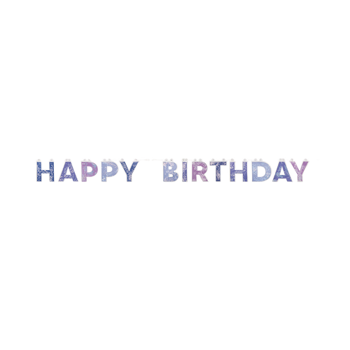 Purple glitter happy birthday letter banner for birthday celebration from Parte Haus party supply store in Bethesda MD