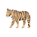Tiger Napkins