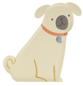 Brown Pug Puppy Dog Dinner Plates