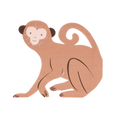 Monkey Napkins