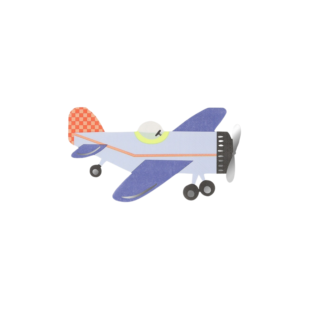 Blue airplane shaped paper plate aviation birthday theme from Parte Haus party supply store in Bethesda Maryland