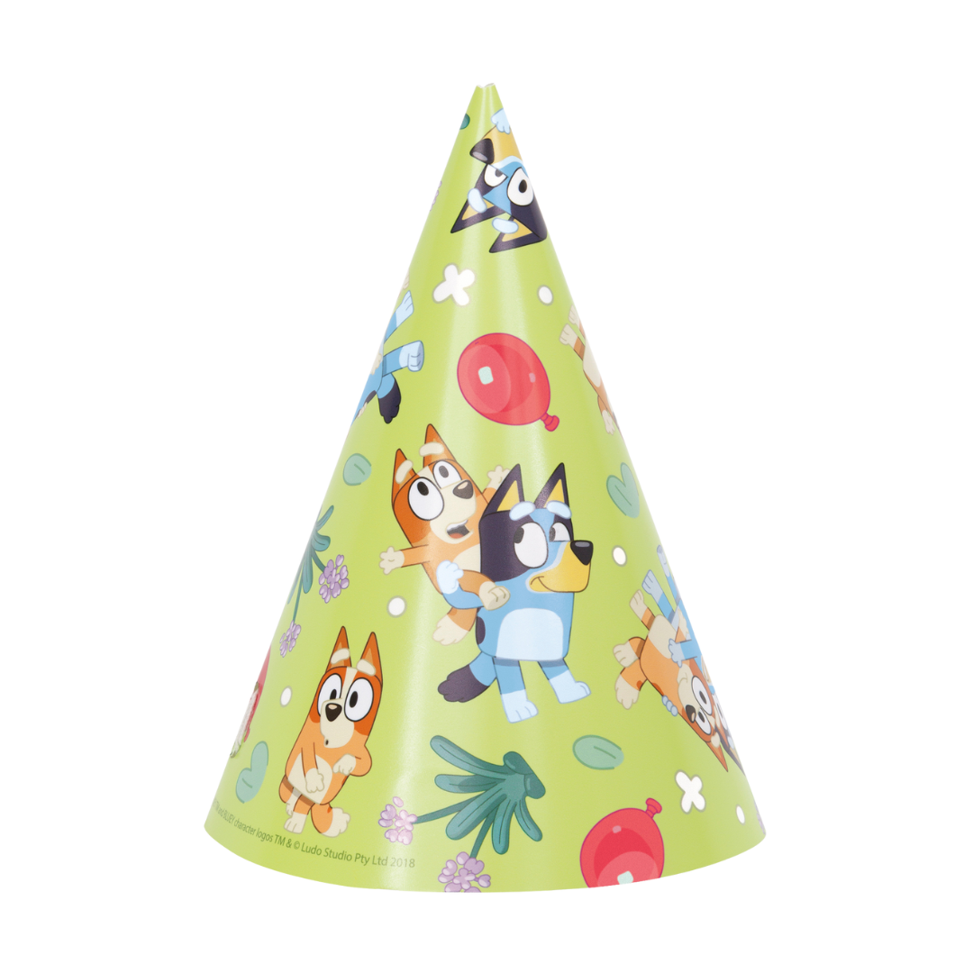 green birthday party hat with cartoon dog print for kids Bluey theme from Parte Haus party supply store in Bethesda MD