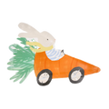 Orange Racing Car Bunny Plates