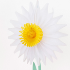 Spring Honeycomb Flower Decorations
