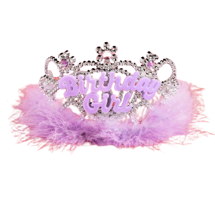 Pink and purple birthday girl tiara with feathers for birthday celebration from Parte Haus party supply store in Bethesda MD