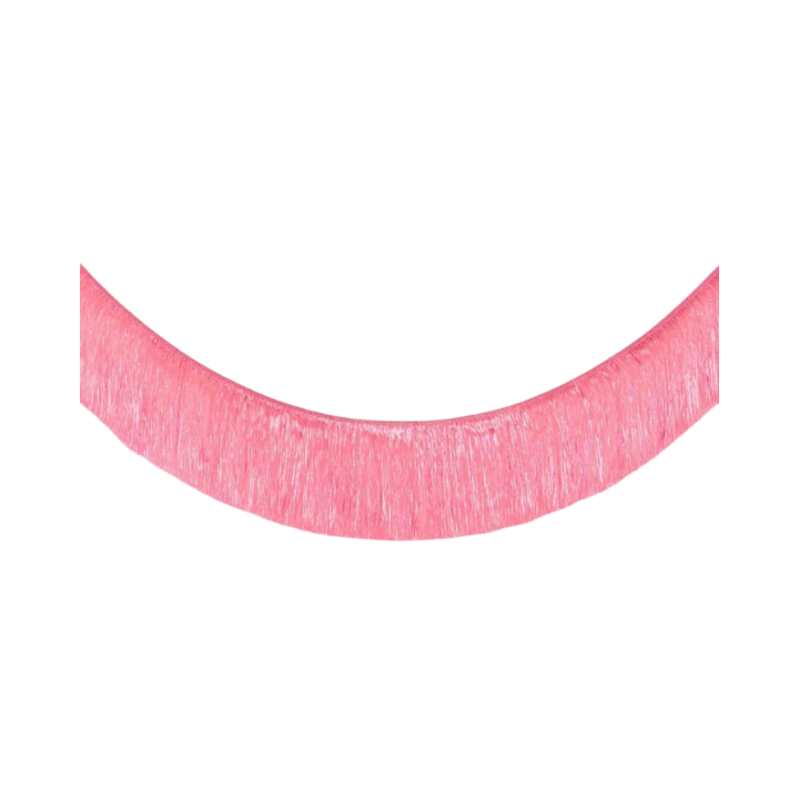 Pink fringe garland streamer for birthday from Parte Haus party supply store in Bethesda MD