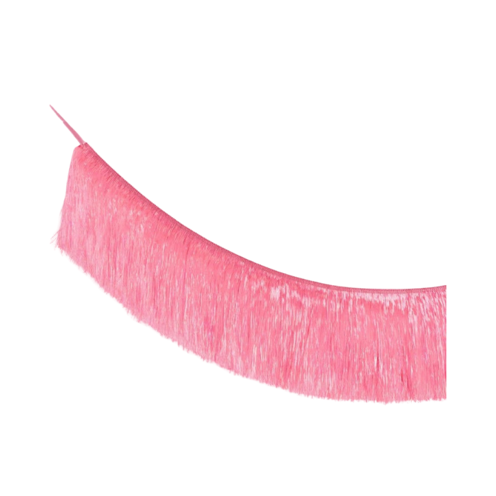 Pink fringe garland hanging decor for birthday from Parte Haus party supply store in Bethesda MD