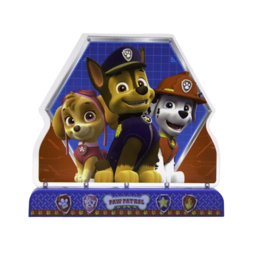 multicolor Paw Patrol centerpiece with cartoon dogs birthday theme from Parte Haus party supply store in Bethesda, MD
