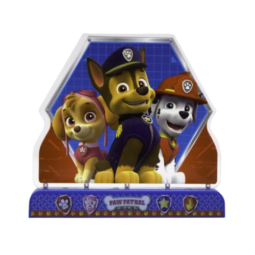 multicolor Paw Patrol centerpiece with cartoon dogs birthday theme from Parte Haus party supply store in Bethesda, MD