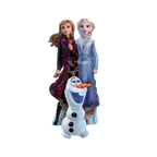 Blue and purple Frozen character balloon with snowman birthday theme from Parte Haus party supply store in Bethesda MD.