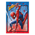 Red and blue Spider-Man plastic table cover with web design birthday theme from Parte Haus party supply store in Bethesda Maryland