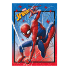 Red and blue Spider-Man plastic table cover with web design birthday theme from Parte Haus party supply store in Bethesda Maryland