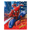 Red and blue Spiderman table cover with web and city scene birthday theme from Parte Haus party supply store in Bethesda MD