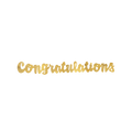 Gold congratulations script banner graduation theme from Parte Haus party supply store in Bethesda Maryland