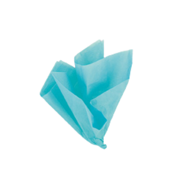 Teal Tissue Paper, 10 Sheets