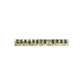 Gold Congrats Grad fringe banner graduation decor from Parte Haus party supply store in Bethesda Maryland