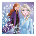 Purple and blue Frozen napkin with Anna and Elsa snowflake print birthday theme from Parte Haus party supply store in Bethesda MD