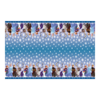 Blue Frozen table cover with snowflake pattern for kids birthday from Parte Haus party supply store in Bethesda MD