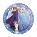 Blue and purple Frozen themed plate with Anna Elsa and Olaf for kids birthday from Parte Haus party supply store in Bethesda MD