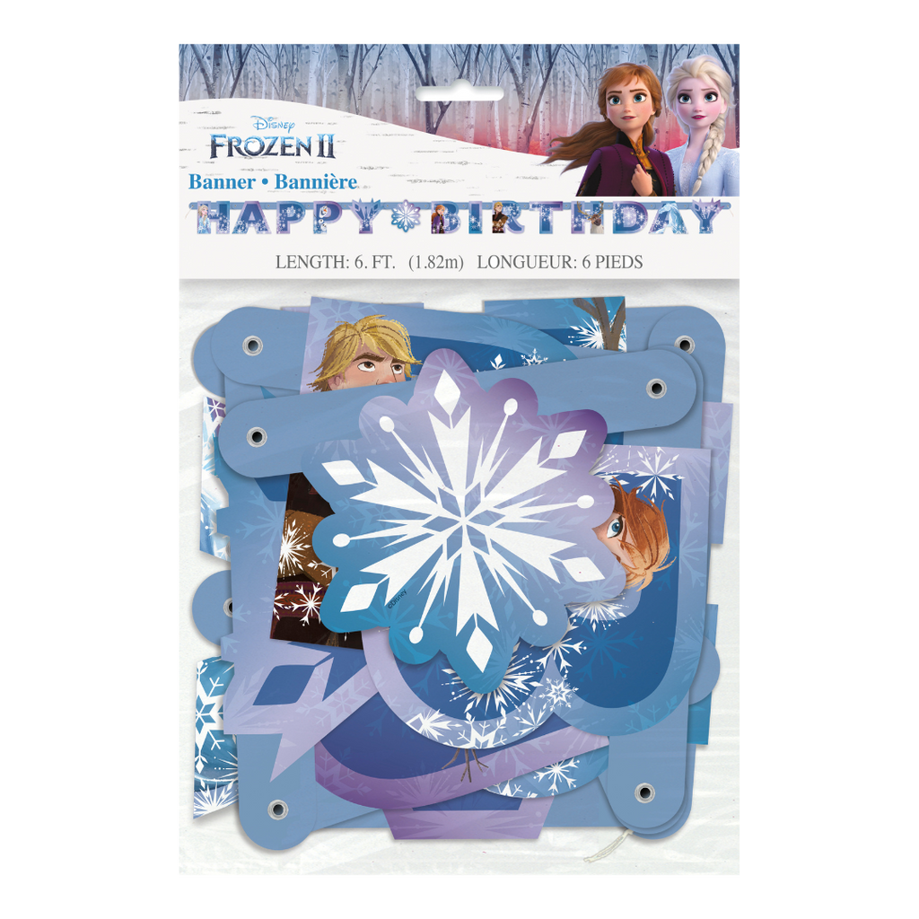 Blue Frozen birthday banner with snowflake print for kids birthday from Parte Haus party supply store in Bethesda MD
