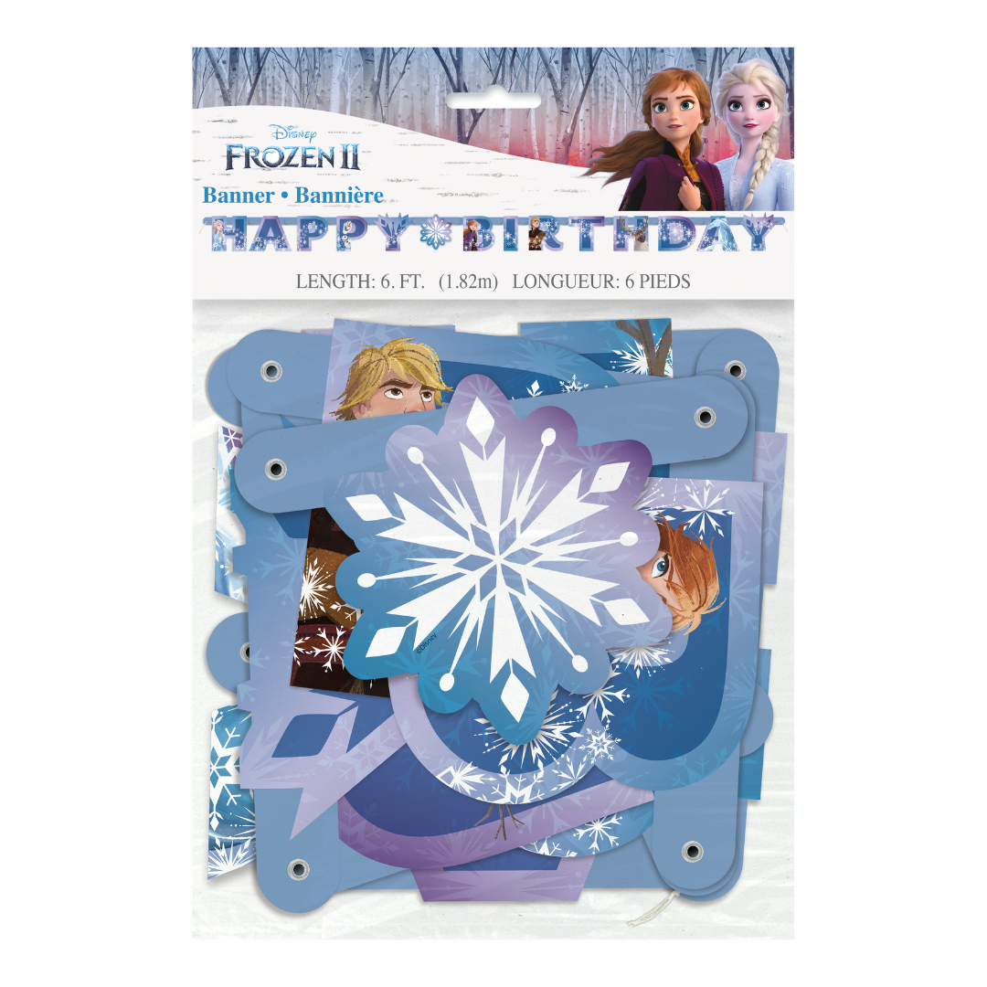 Blue Frozen birthday banner with snowflake print for kids birthday from Parte Haus party supply store in Bethesda MD