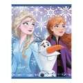 Blue Frozen themed napkin with Elsa Anna Olaf snowflakes for kids birthday from Parte Haus party supply store in Bethesda MD