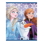 Blue Frozen themed napkin with Elsa Anna Olaf snowflakes for kids birthday from Parte Haus party supply store in Bethesda MD